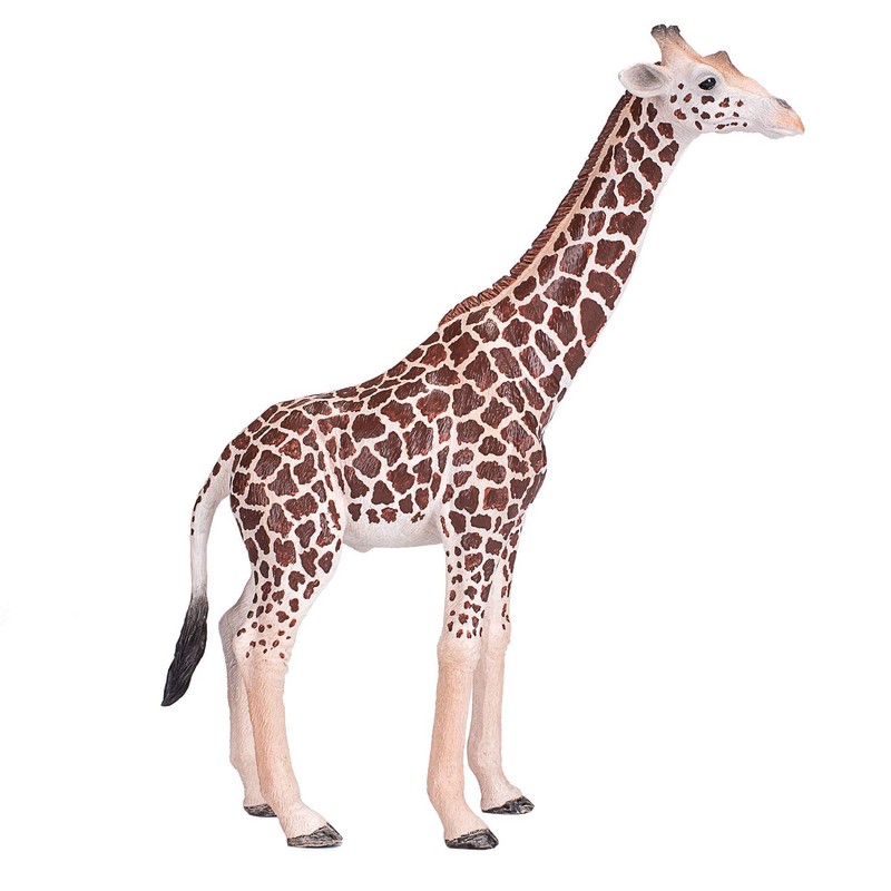 mojo fun animals