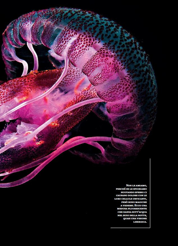 Argos Ago-Set 2023 (10)