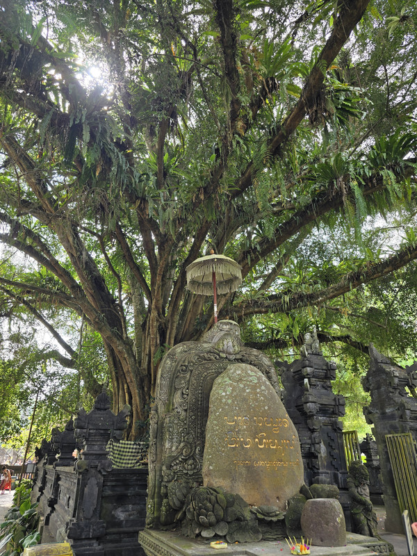 INDONESIA JULIO 2024 (KUALA LUMPUR- BORNEO- YOGYAKARTA- BALI- SINGAPUR) - Blogs de Indonesia - PRIMER DÍA DE EXCURSIÓN POR BALI (5)