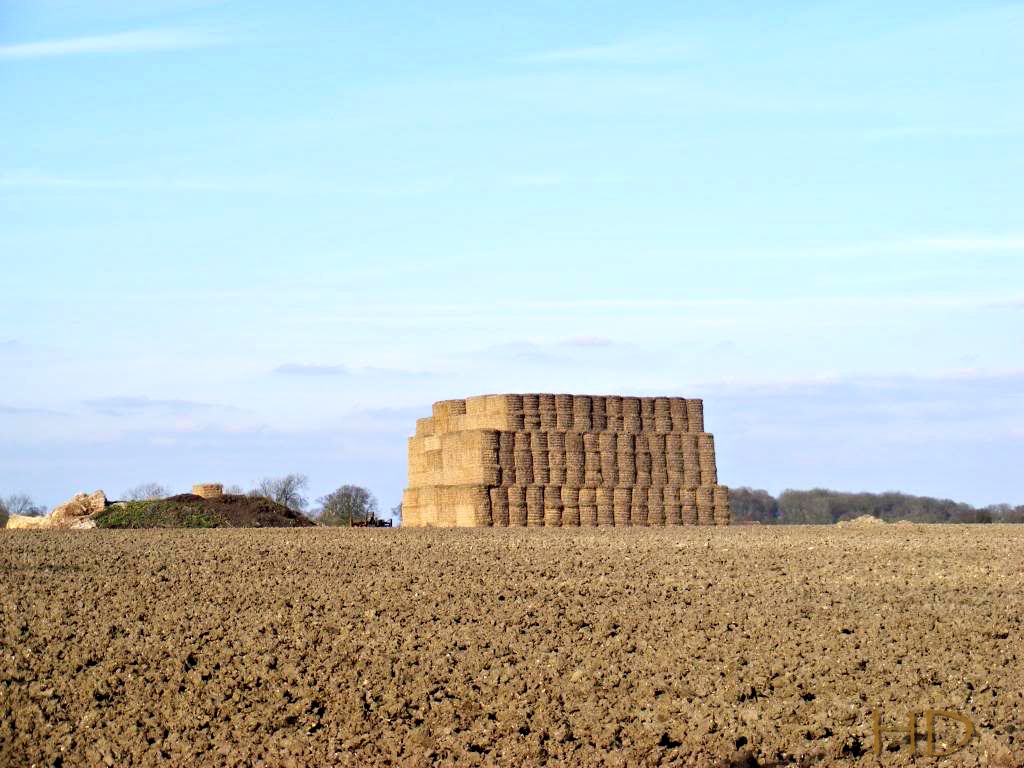 haystacks.jpg