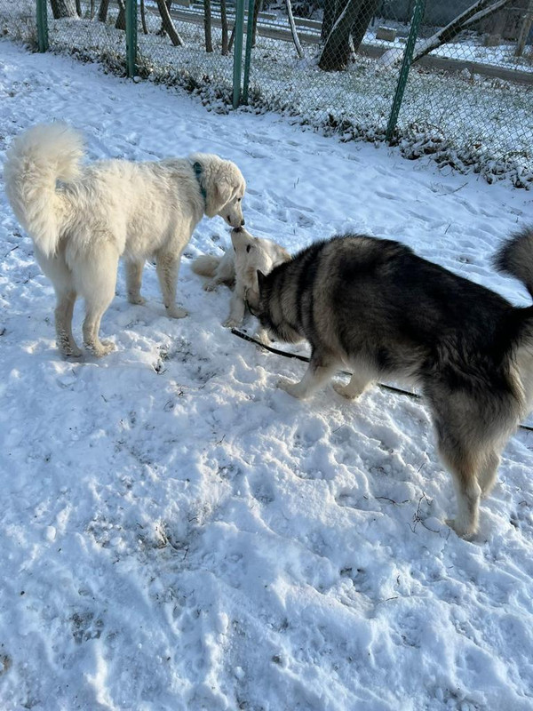 DC3B2CEB-8BAD-462E-A4C4-04B495E88474