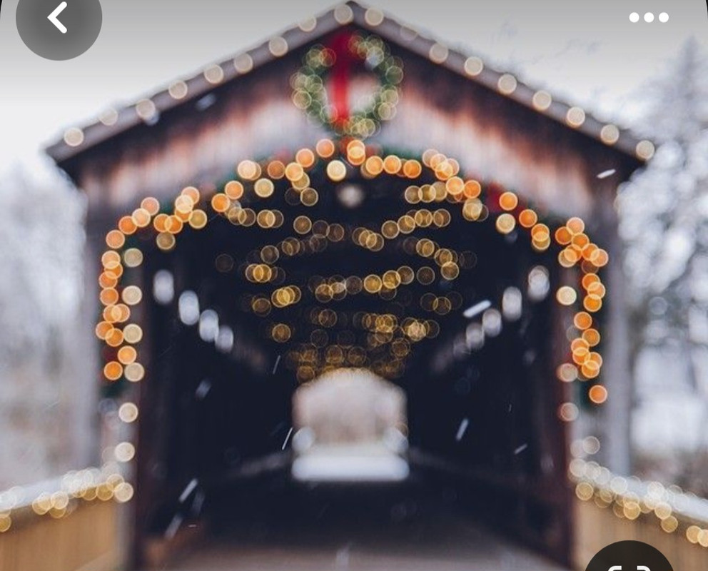 Screenshot_20231211_172447_Pinterest