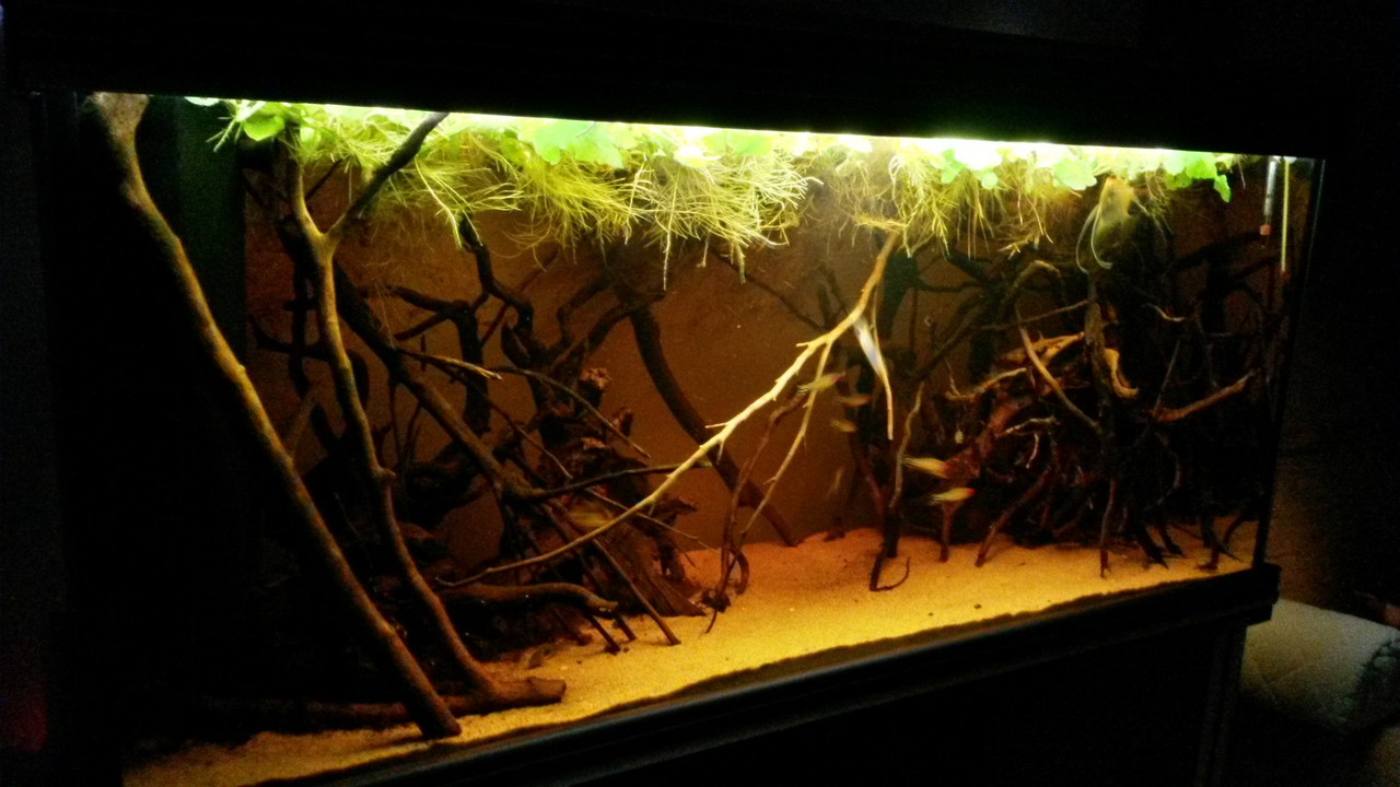 20140417_112516_Richtone(HDR)