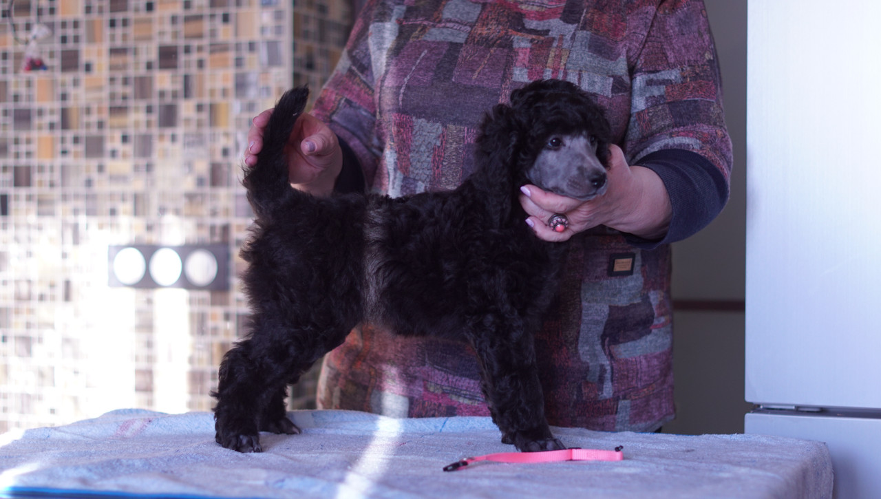 4D917FCE-3E0B-401C-A4E2-82776B20D1F5