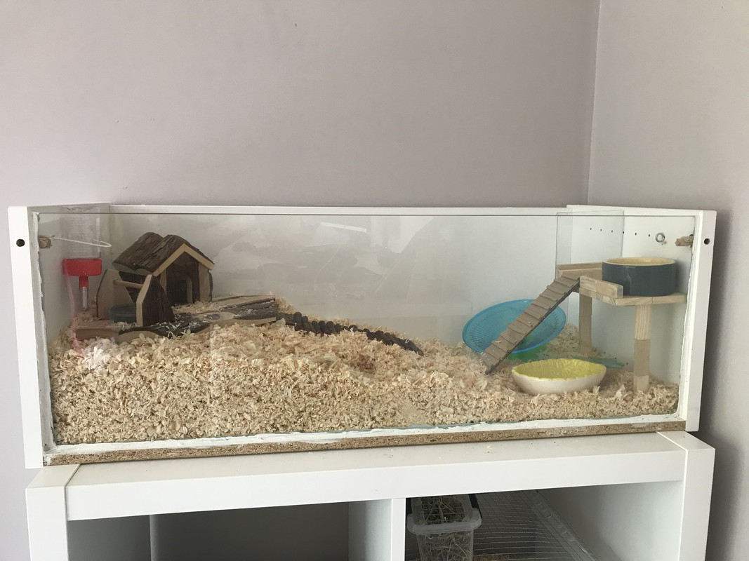 71CC8931-A768-4309-BC67-5BD0D5F3C2D6