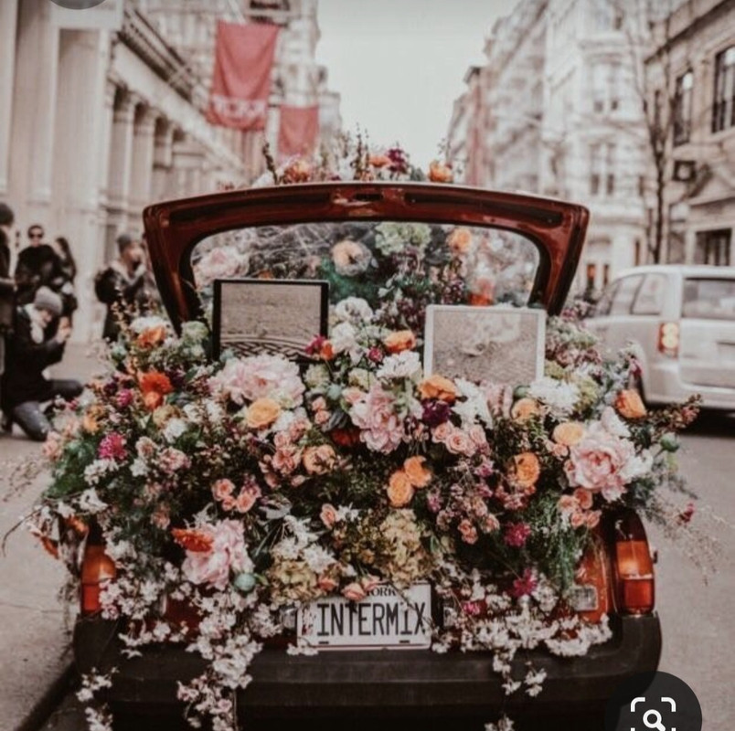 Screenshot_20230514_151821_Pinterest