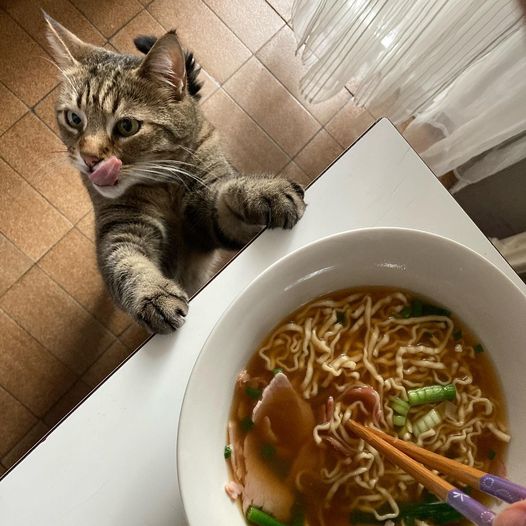 161672002-10159261986338293-716343257432