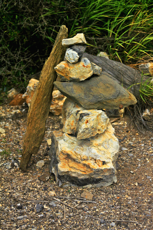Sendero-del-Dharma-6.jpg