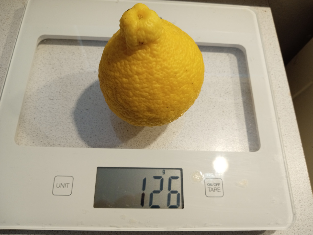 IMG 20260208 135607919 MFNR