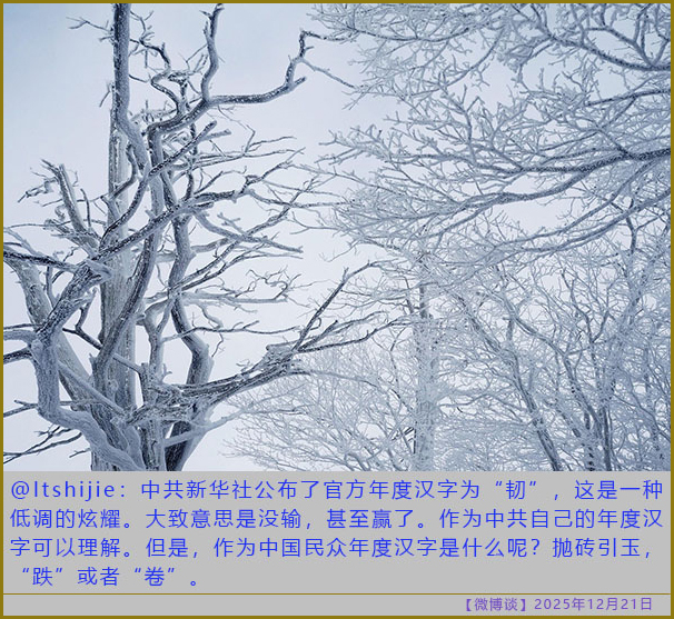 https://i.postimg.cc/FRhG3GKH/20251221-bt-(5).jpg