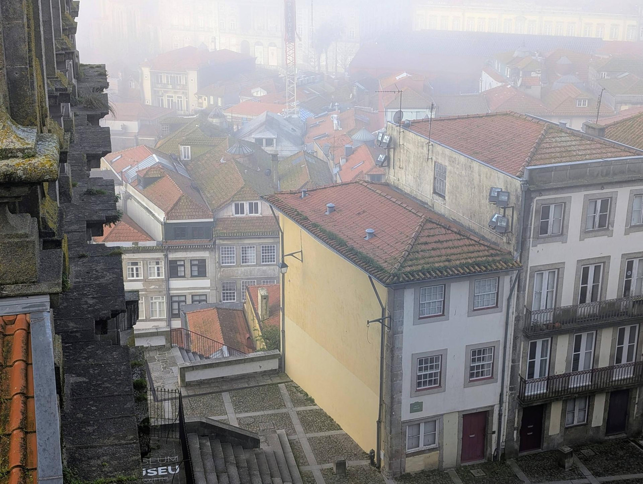 644252054 25574961895536773 5814118632354508913 n