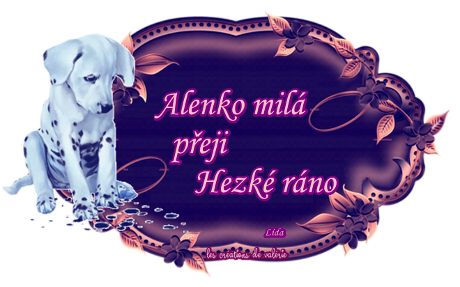 Alenka-0003.png