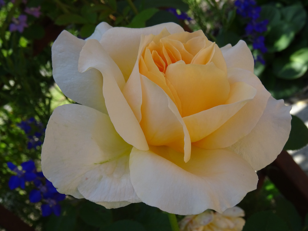 DSC00080 (0)
