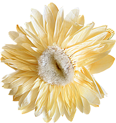 Kit_Just_Bee_In_ME (22)