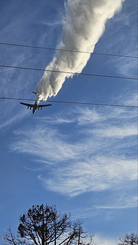 IMG_20240715_081059_065