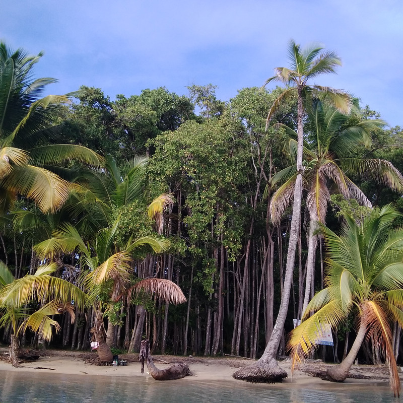 Зимовка в Центральной Америке-2024, семь стран за два месяца - не съесть, но надкусить.