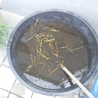 [Bild: 20210607-110051.jpg]