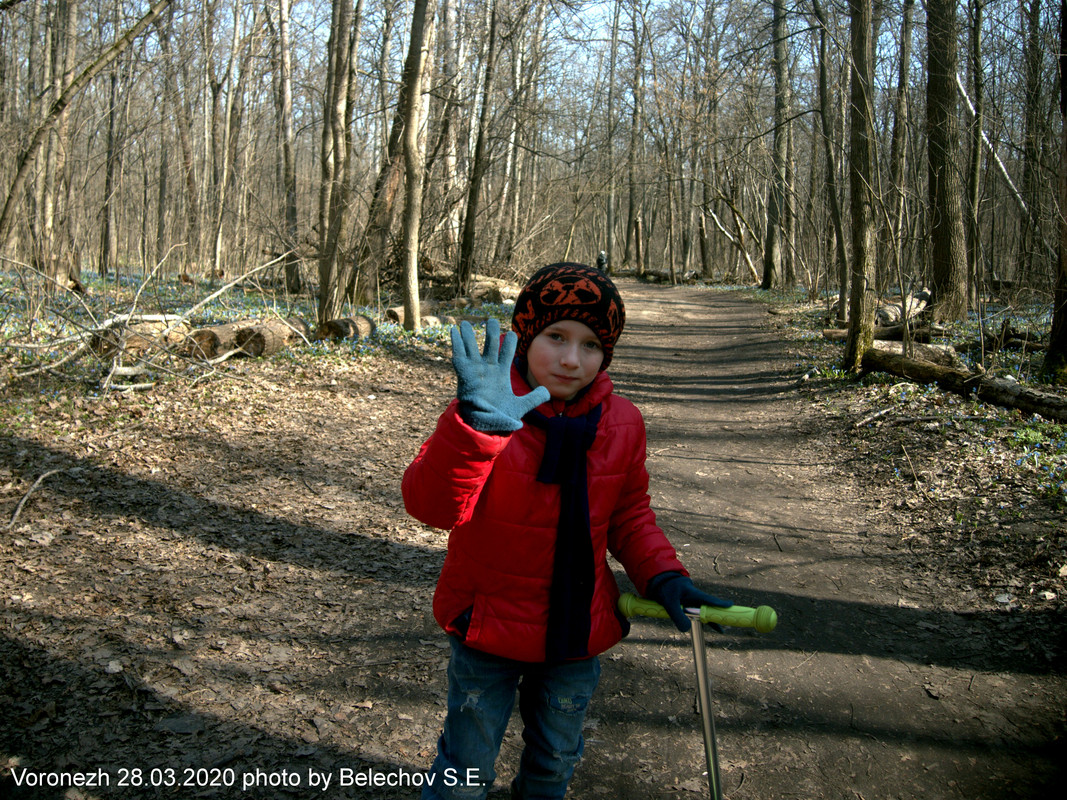 Воронеж, весна, Олимпик Воронеж, весна, Олимпик