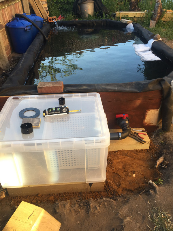 5A6B98F3-C294-45C1-9230-4712A66E6E6A