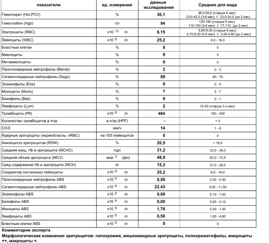 Снимок экрана 2024-07-16 в 19.52.56