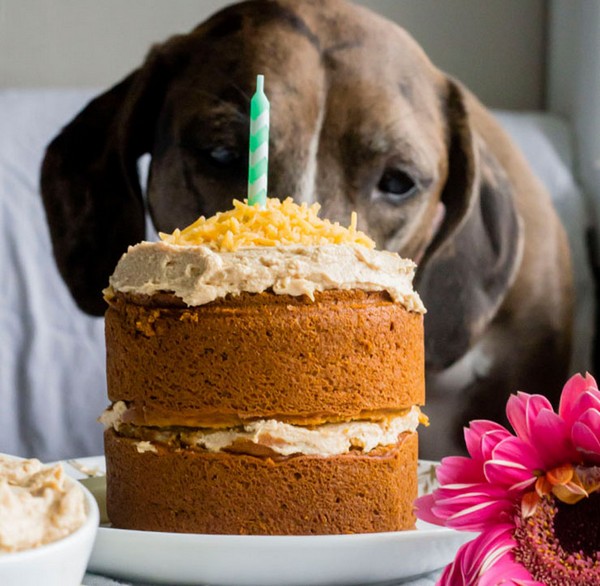 [Image: birthday-cake-for-dogs.jpg]