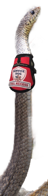 B0362F61-EA7D-4D42-A2C8-AD5F88BDB9FA