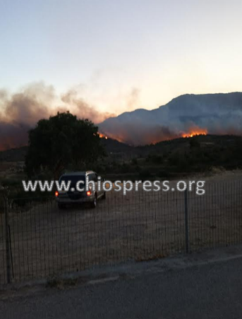 ΤΡΕΙΣ ΔΙΑΦΟΡΕΤΙΚΕΣ ΔΑΣΙΚΕΣ ΠΥΡΚΑΓΙΕΣ  - ΣΤΗ ΧΙΟ ΚΛΙΜΑΚΙΟ ΤΗΣ ΔΙΕΥΘΥΝΣΗΣ ΑΝΤΙΜΕΤΩΠΙΣΗΣ ΕΓΚΛΗΜΑΤΩΝ ΕΜΠΡΗΣΜΟΥ