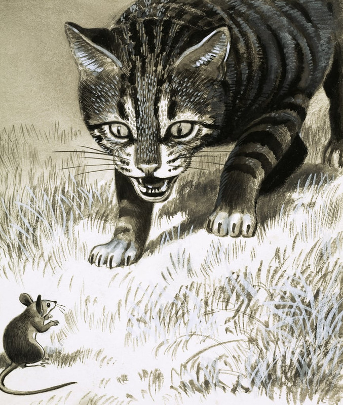 English-School-Cat-approaching-mouse-Meister-Drucke-52748