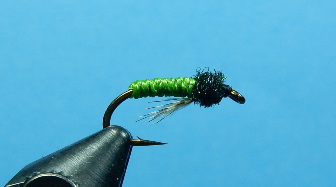 Caddis-Larvae-1080.jpg