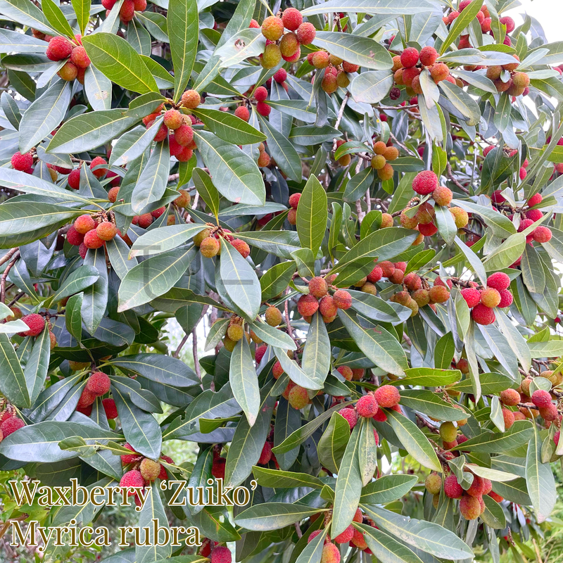 3110D7F7-3A43-4FED-A82D-FFE37D9CE390