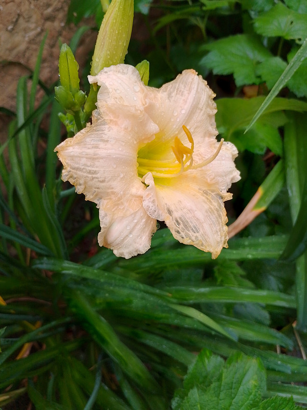 IMG_20230615_171417_HDR