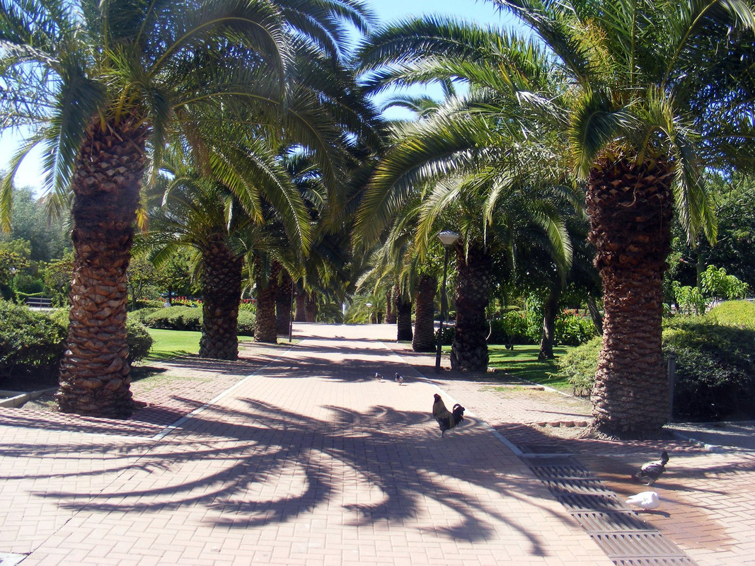 DSCF9868.jpg