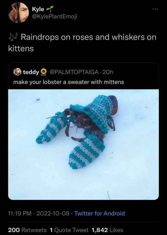 BP-DCCCLVIII-46.jpg