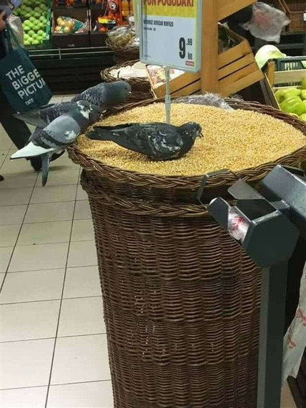 klyker-picdump-7-11-2025-2.jpg
