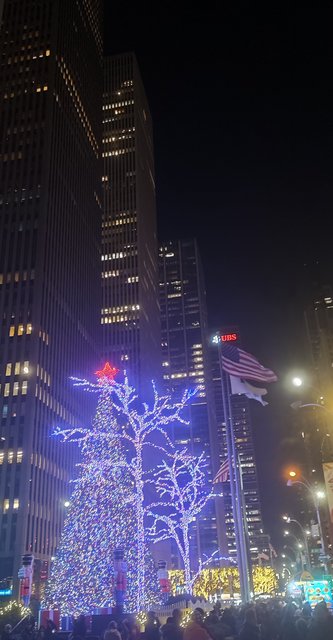 Nueva York y Cataratas del Niágara 2023 - Blogs de America Norte - Rockefeller, Top of the Rock, desfile y sorpresa en Times Square (49)