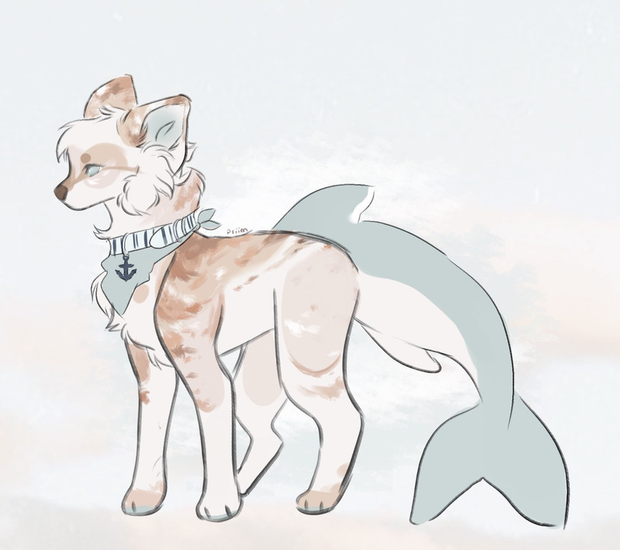 06825581-FDA4-48A0-AEF0-473AF46CA51D