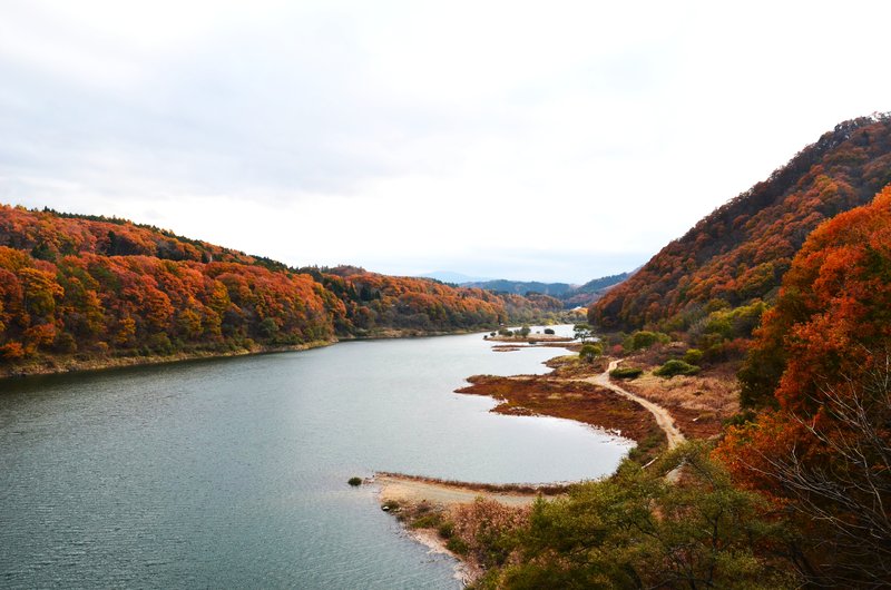 Ruta Nacional 158 Nogi Kaido-14-11-2024 - Japón y sus Pueblos-2024 (30)