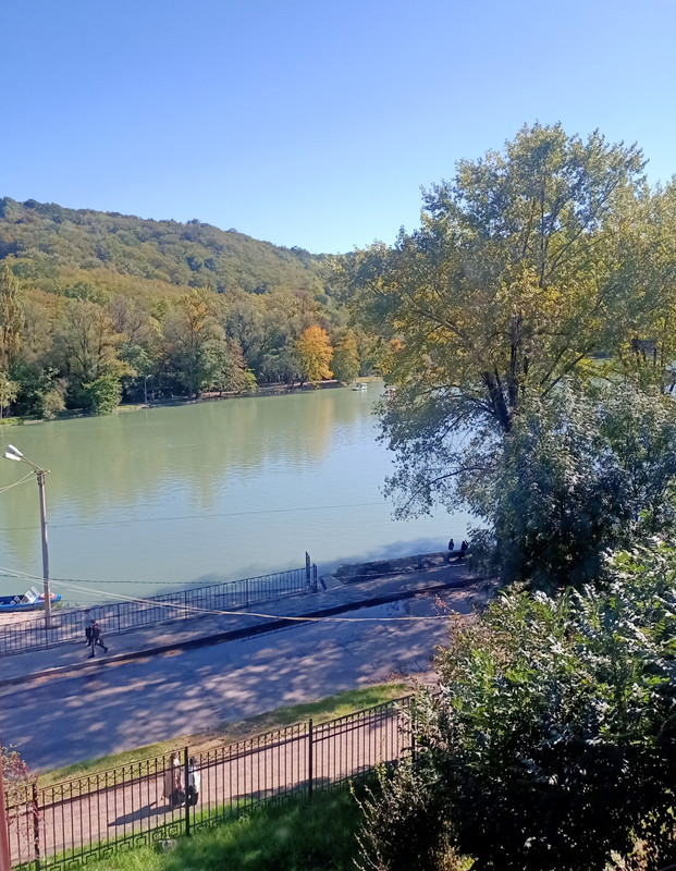 IMG-20210926-201648.jpg