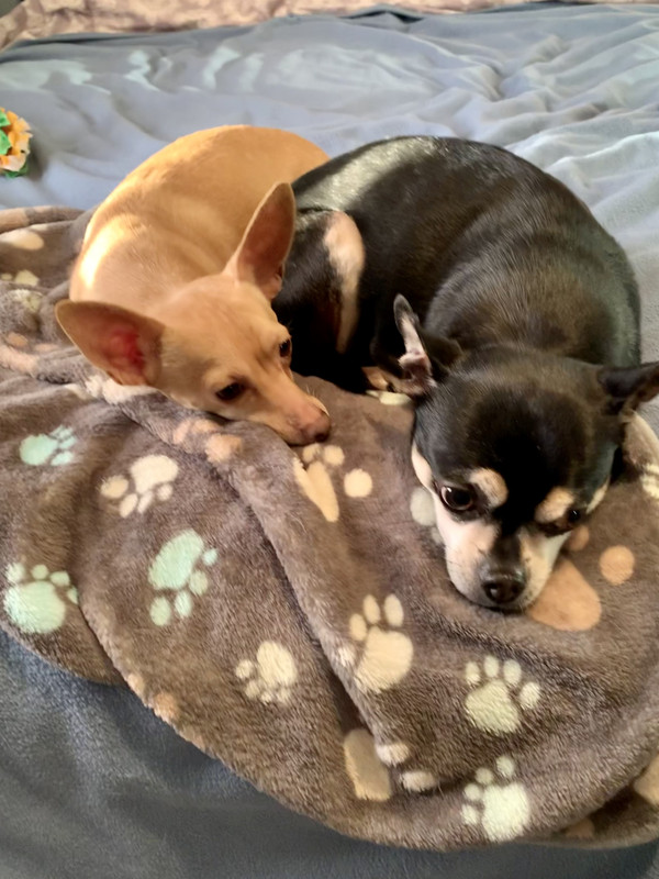 E5864A38-3DCD-417D-8871-F8B353C6CE24