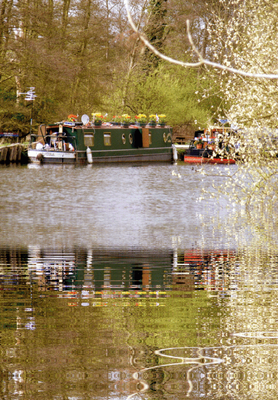 imageedit-28-9969744752.gif