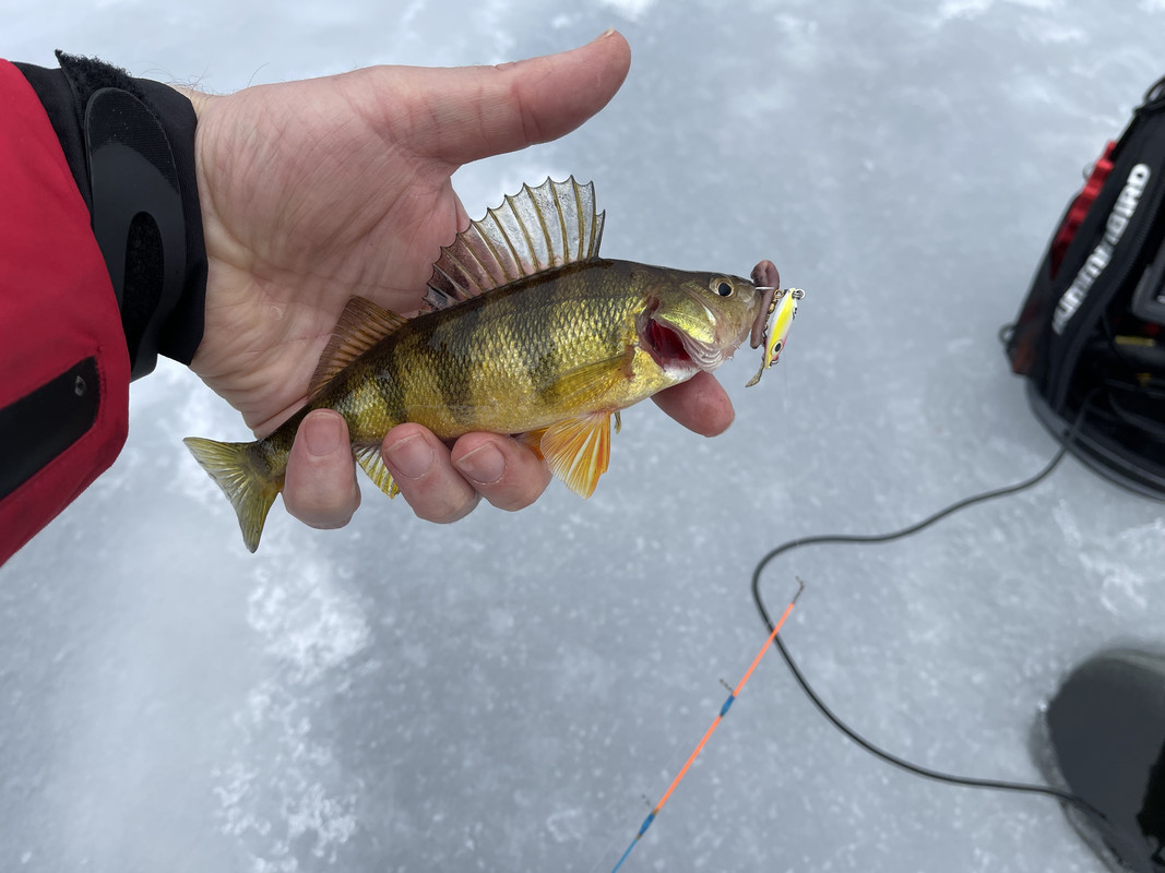 02EB4D42-7771-4A85-964D-3B33779A60CC