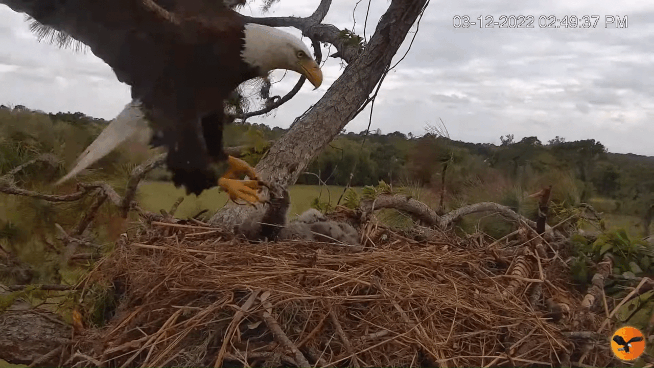 Webp.net-gifmaker (6)