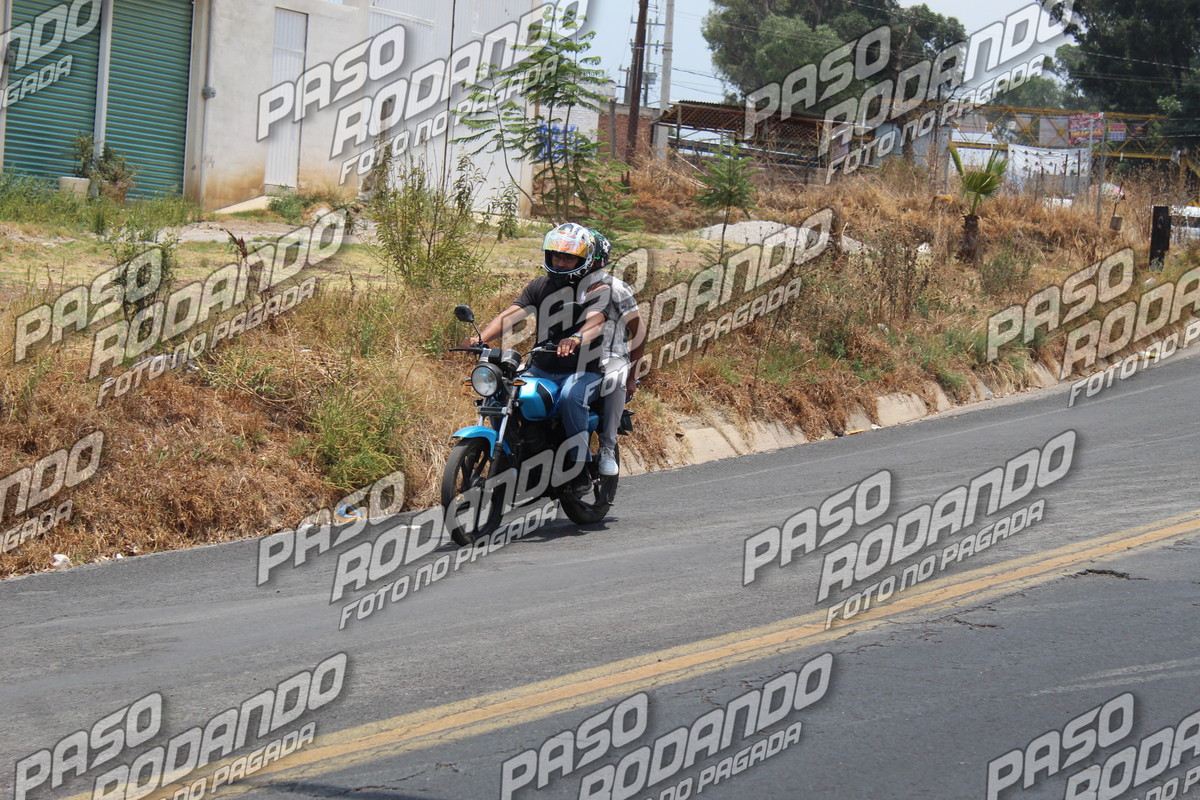 IMG 7261 wm 62165 59999999404 watermarked — Postimages
