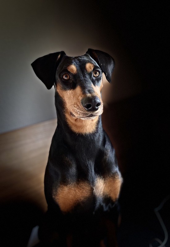 3DCCA4DB-9FB3-4B99-BFB5-DB09CFBADBDA