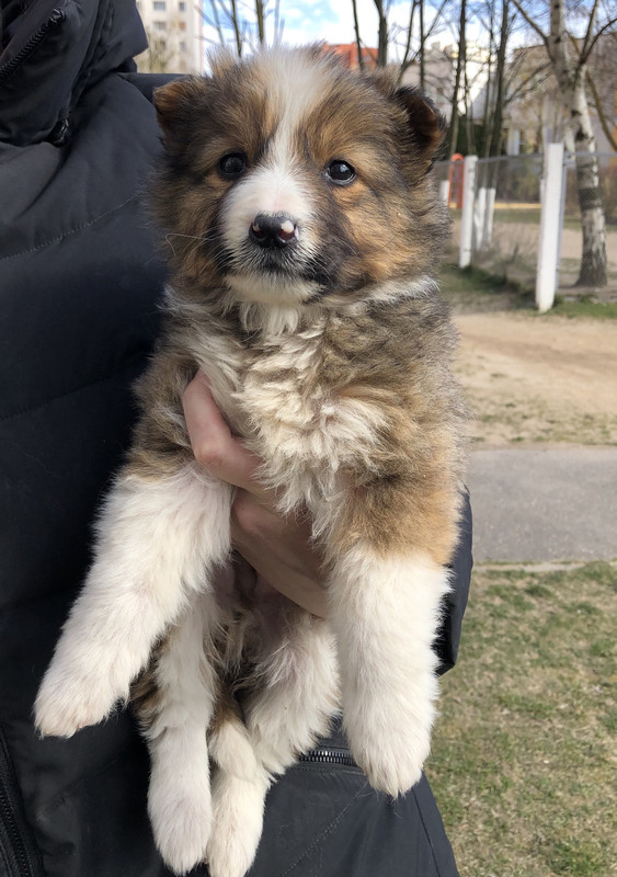 8CA7FF11-3AF7-4233-B75A-1DA6B621B651