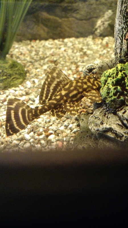 IMG_20170202_121840077