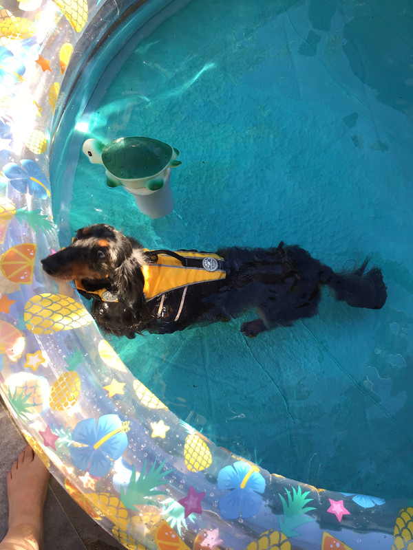 [Image: E143-BCD3-1097-4659-A556-A86772-A05486.jpg]