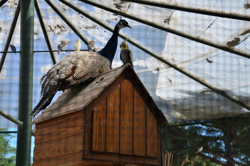 PARQUE EUROPA-2010/2015/2021-MADRID - Paseando por España-1991/2017 (18)