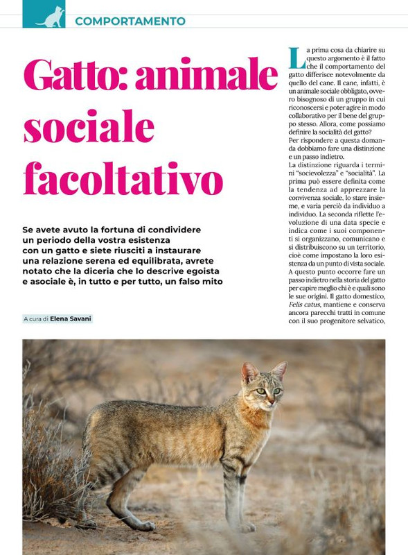 Ga Ma Ott-Nov 2021 (3)