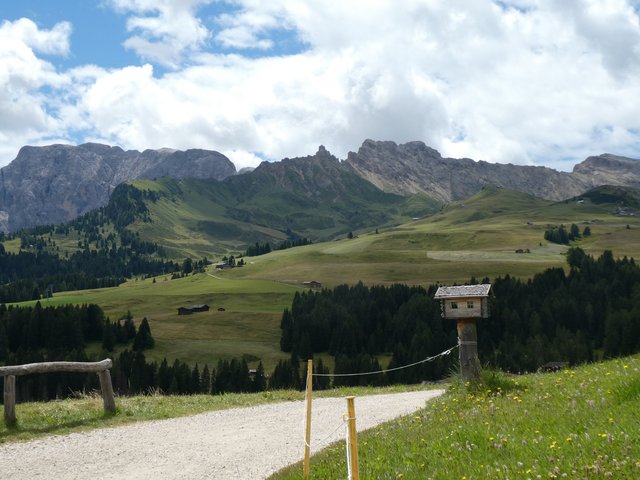 DÍA 6 – Alpe di Siusi / Lago di Carezza - Dolomitas y noreste de Italia en verano de 2025 (En construcción) (8)